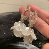 img_933928