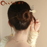 Chinese Beauty Fishtail Tassel Hairpin Retro Rhinestone Antique Jewelry