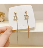 Metal Tassel Earrings for Women, South Style Party Accessory