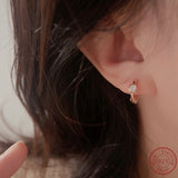 925 Silver Rose Zircon Earrings for Women Wedding Jewelry Gift
