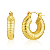 Chunky Hoop Earrings 18K Plated Stainless Steel