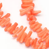 20G Dyed Sea Bamboo Coral Beads Strands, 4~18x2~5x2~4mm