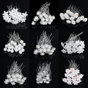20 Pack Women U-shaped Pin Metal Barrette Clip Hairpins