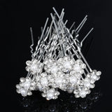 20 Pack Women U-shaped Pin Metal Barrette Clip Hairpins