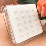 20Pcs/Box 925 Sterling Silver Double Shell Nose Studs Piercing