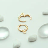 20Pcs Brass Plated Lever Back Earring Hooks for DIY Jewelry Making