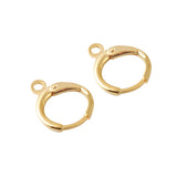 20Pcs Brass Plated Lever Back Earring Hooks for DIY Jewelry Making