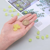 20Pcs Czech Glass Lemon Beads Fruit Yellow Glass Food Beads for Jewelry Making