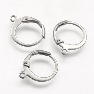 20pcs Stainless Steel Leverback Earring Findings for DIY Earrings