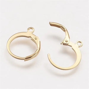 20pcs Stainless Steel Leverback Earring Findings for DIY Earrings