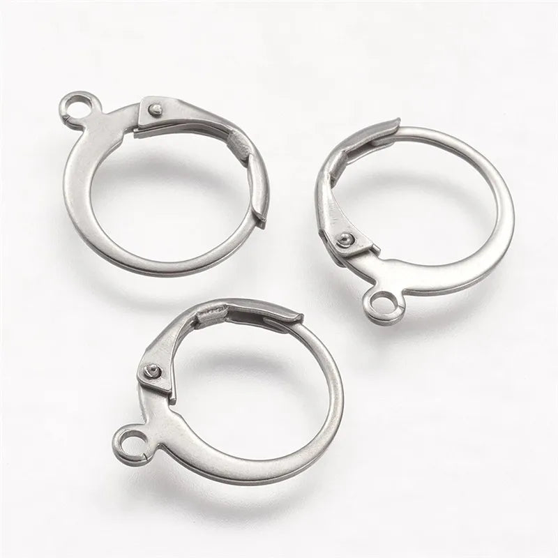 20pcs Stainless Steel Leverback Earring Findings for DIY Earrings