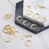 20pcs Stainless Steel Leverback Earring Findings for DIY Earrings