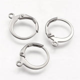 20pcs Stainless Steel Leverback Earring Findings for DIY Earrings