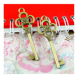 20pcs Antique Bronze Plated Key Charms Pendants for DIY Jewelry Making