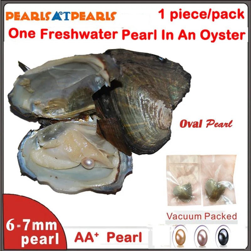 20pcs 6-7mm Oval Pearls in Oyster, Vacuum Packed
