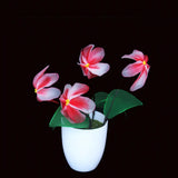 20pcs Flower Making Material Nylon Stocking Flower Accessory DIY Home Decor