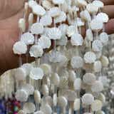 20pcs Mother Pearl Shell Fan Flower Coral Beads 12*11mm