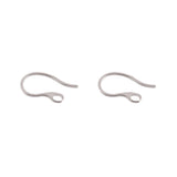 20pcs Stainless Steel Ear Hook Findings For DIY Earrings