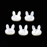 20pcs Natural Shell Beads for Jewelry Making DIY Crafts Decor