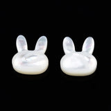 20pcs Natural Shell Beads for Jewelry Making DIY Crafts Decor