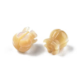 20pcs Natural Shell Beads for Jewelry Making DIY Crafts Decor
