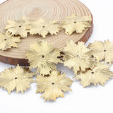 20pcs Raw Brass Leaf Charms Earrings Jewelry Findings
