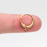 20pcs Raw Brass Round Leverback Earrings, Ear Hooks (RB-312)
