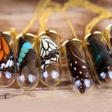 20pcs Real Butterfly Wings 3D Butterfly Specimens Mother Butterflies Wings