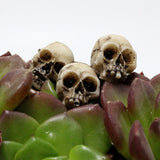 20pcs Mini Skull Model Toys Modern Funny Collection DIY Halloween Decoration