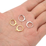 20pcs Stainless Steel French Earring Hooks for DIY Jewelry Making
