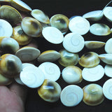 20pcs Mother of Pearl Shell Beads 19mm Loose for Bracelets Making