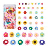 210Pcs Resin Daisy Flower Flatback Cabochons DIY Craft Embellishment