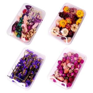22 Styles 1Box Crystal Epoxy Filler Dry Flower Mixed Nail Stickers Decorations