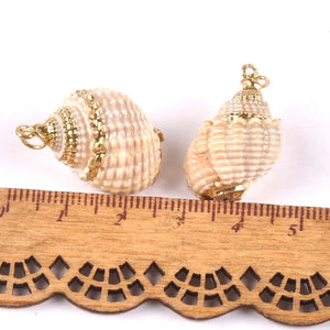 5pcs Natural Spiral Shell Charms Pendants Conch Plated Rose Jewelry