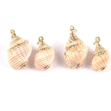 5pcs Natural Spiral Shell Charms Pendants Conch Plated Rose Jewelry