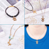 24Pcs Stainless Steel Zodiac Charms for Jewelry Making