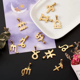24Pcs Stainless Steel Zodiac Charms for Jewelry Making