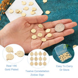 24pcs/Box Brass 12 Constellations Charms Pendant DIY Jewelry Making