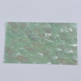 Cotton Shell Natural Craft SectorSea Shells Abalone Paua Shell Sheets