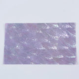 Cotton Shell Natural Craft SectorSea Shells Abalone Paua Shell Sheets