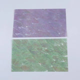Cotton Shell Natural Craft SectorSea Shells Abalone Paua Shell Sheets