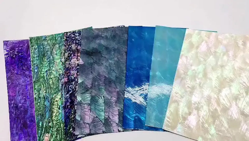 Cotton Shell Natural Craft SectorSea Shells Abalone Paua Shell Sheets