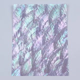 Cotton Shell Natural Craft SectorSea Shells Abalone Paua Shell Sheets