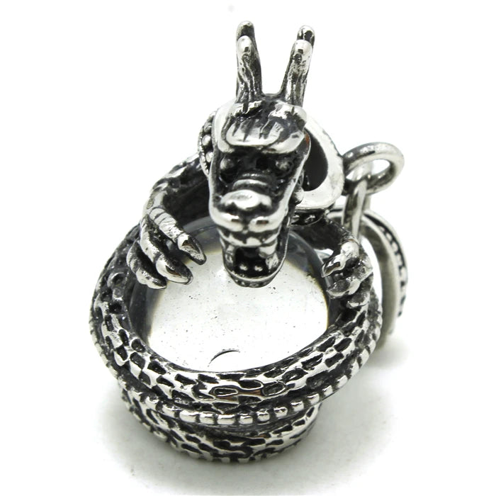 25g Mens Boys 316L Stainless Steel Dragon Pendant with Clean Crystal