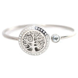 25mm Magnet Crystal Stainless Steel Aromatherapy Locket Bracelet Bangle