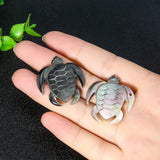 2PCS Shell Carved Turtle Pendant Mother of Pearl Charms for Jewelry Making