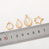 2Pcs 14K Plated Brass Natural Shell Charms for DIY Jewelry Making