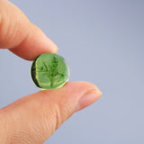 2Pcs Green Resin Ear Gauges Acrylic Ear Plugs Tunnels Earrings Piercing