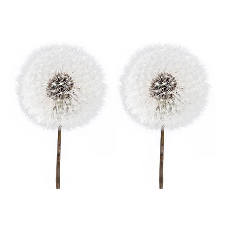 2Pcs Resin Beauty Decals Epoxy Mold Fillings Crystal Epoxy Filler Dry Flowers
