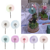 2Pcs Resin Beauty Decals Epoxy Mold Fillings Crystal Epoxy Filler Dry Flowers